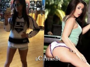 2ChicksBi