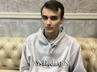 ANDREAS_N