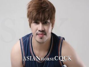 ASIANhorseCQCK