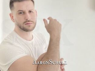 AaronSchulz