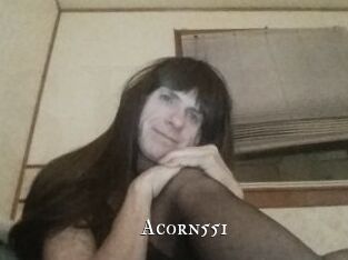 Acorn551