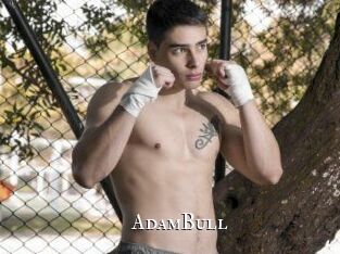 AdamBull