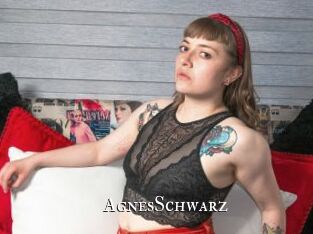 AgnesSchwarz