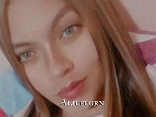 Alicecorn