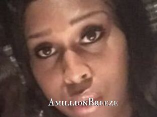 AmillionBreeze cams