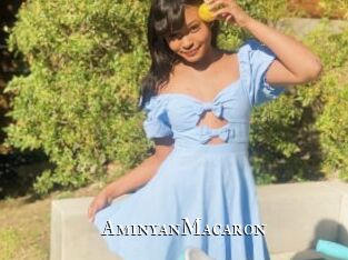 AminyanMacaron