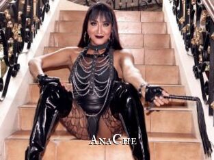 AnaChe