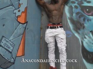 Anaconda11inchescock