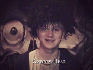 Andrew_Bear