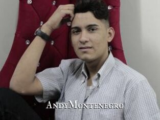 AndyMontenegro