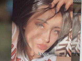 Aneu
