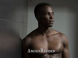 AngusBaudin