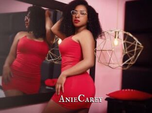AnieCarey