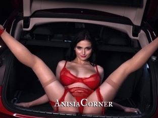 AnisiaCorner