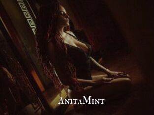 AnitaMint