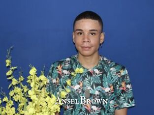 AnselBrown