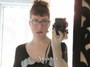 Araneae
