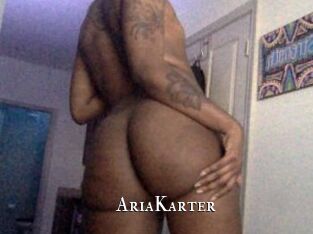 AriaKarter