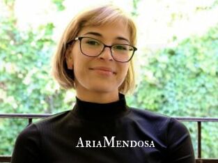 AriaMendosa