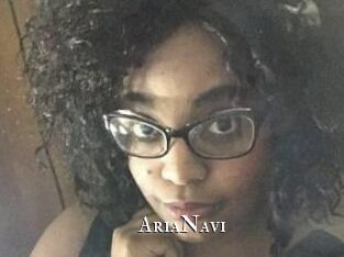 AriaNavi
