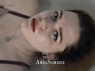 AriaSornei