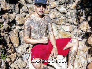 Armand_Felix cams