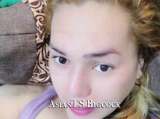 AsianTS_Bigcock