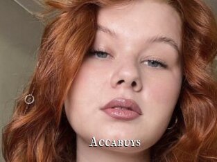 Accabuys