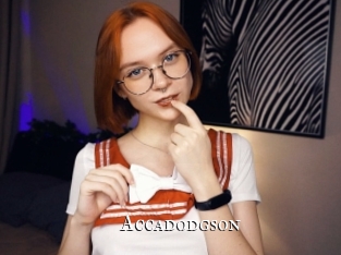 accadodgson cams