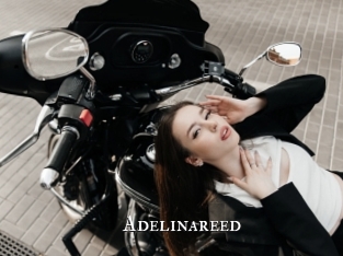 Adelinareed