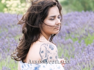 aerinbaudelaire cams