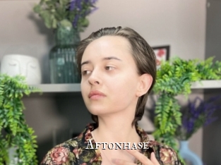Aftonhase