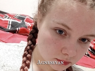 Agnesevan