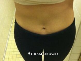 Ahrameiko221