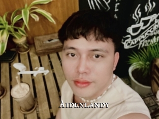Aidenlandy
