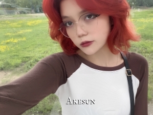 akesun cams