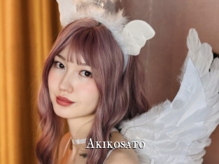 akikosato cams