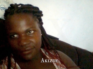 akizue cams