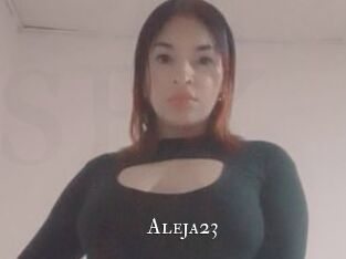 Aleja23