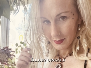 Alicesjungalo