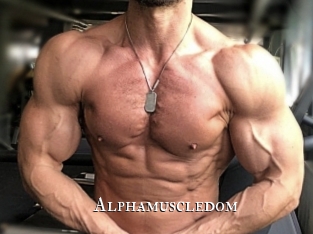 alphamuscledom cams