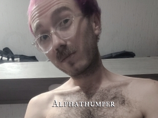 alphathumper cams