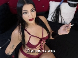 amberflower cams