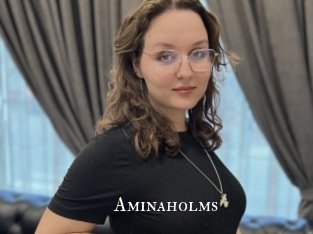 Aminaholms