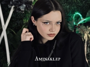 Aminaklep