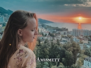 Amismett