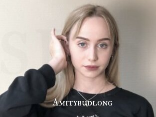 Amitybudlong