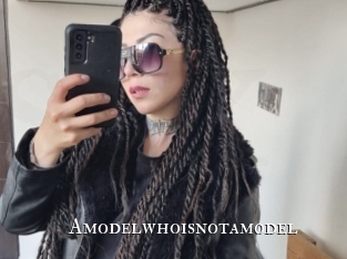 Amodelwhoisnotamodel