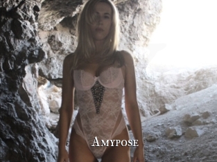 amypose cams