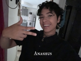 Anashus